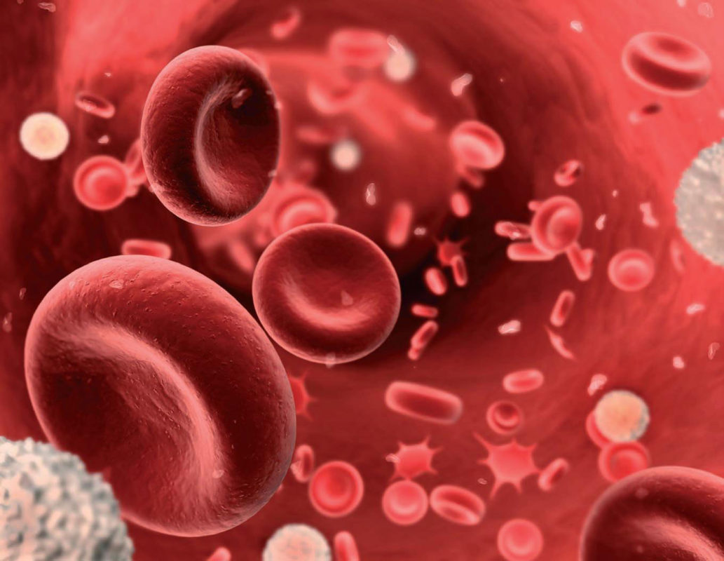 Anemia perniciosa: ¿En qué ayuda la Apiterapia?
